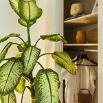 Apartament Stunning Views - Location - Netflix + Balcony Bukareszt